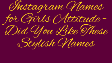 Instagram Names for Girls Attitude