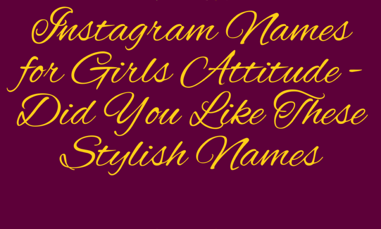 Instagram Names for Girls Attitude